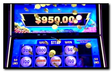 40 Gratis Spins Casino hos Red Bet Casino